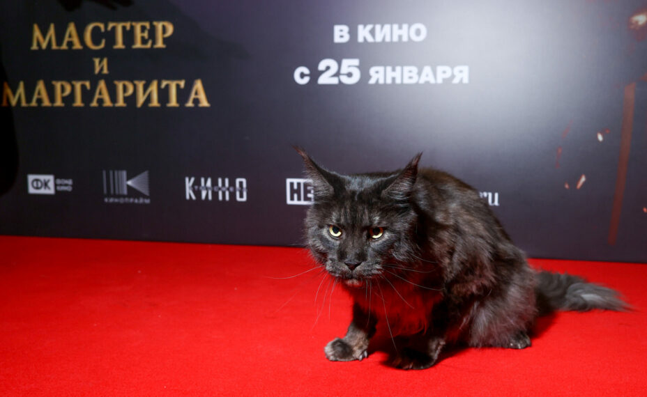 Фото: Sergey Petrov/news.ru/Global Look Press