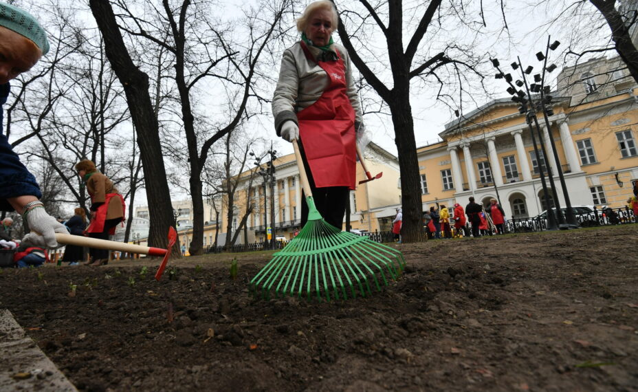 Ростовчане выйдут на субботник. Фото: PxHere