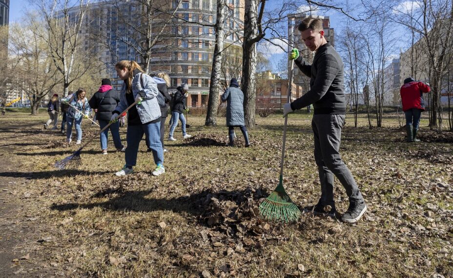 К уборке могут присоединиться все желающие. Фото: Aleksey Smyshlyaev/Global Look Press