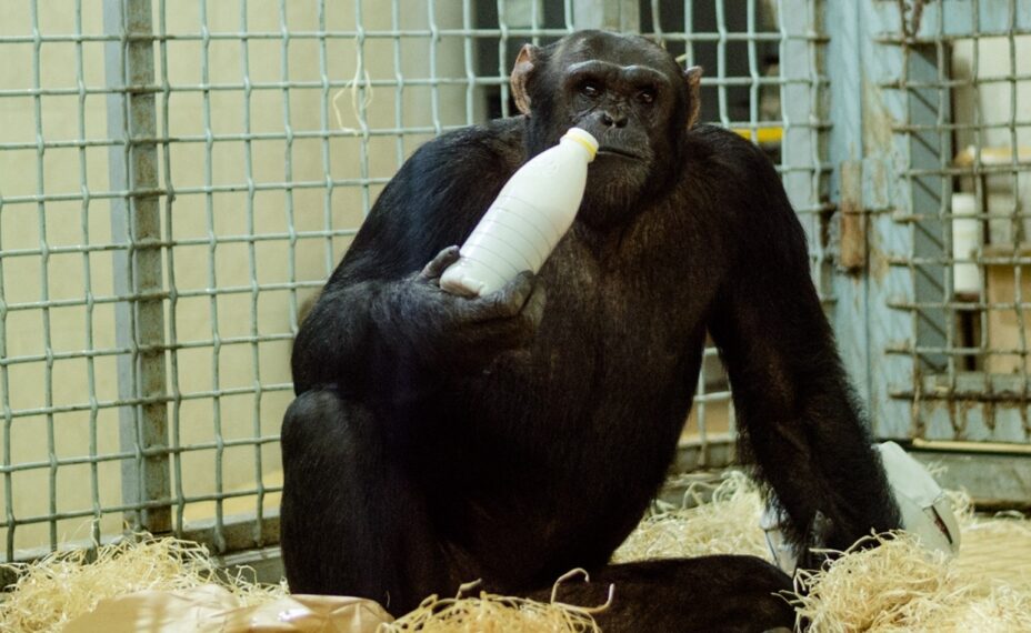 Зоопарк будет работать по-другому. Фото: сообщество ростовского зоопарка ВКонтакте