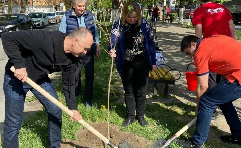 На Дону высадили свыше 380 тысяч деревьев и кустарников