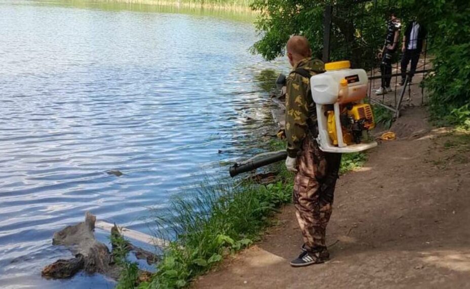 В Ростове идет борьба с клещами. Фото: Телеграм-канал Алексея Логвиненко