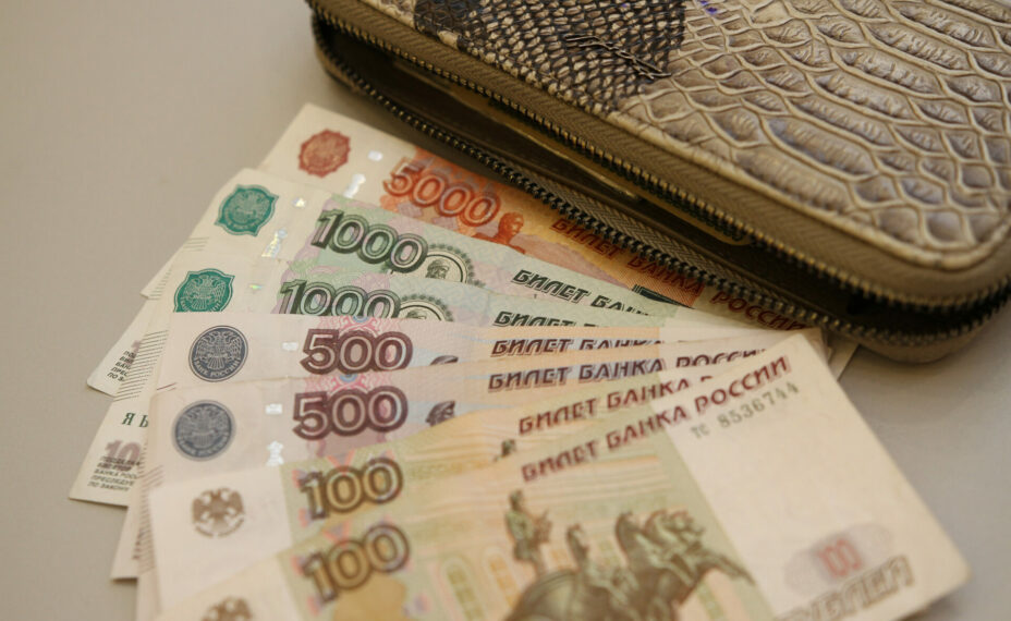 Прожить на 18 169 рублей можно, но при условии, что у вас есть собственная квартира. Фото: Тимур ШАРИПКУЛОВ