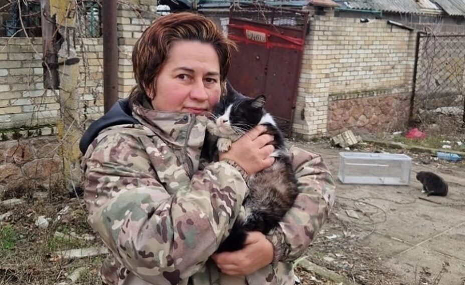 Обычно в зоне боевых действий животные охотно идут на контакт с людьми. Фото: Из группы ВКонтакте НО «Кошкин дом»