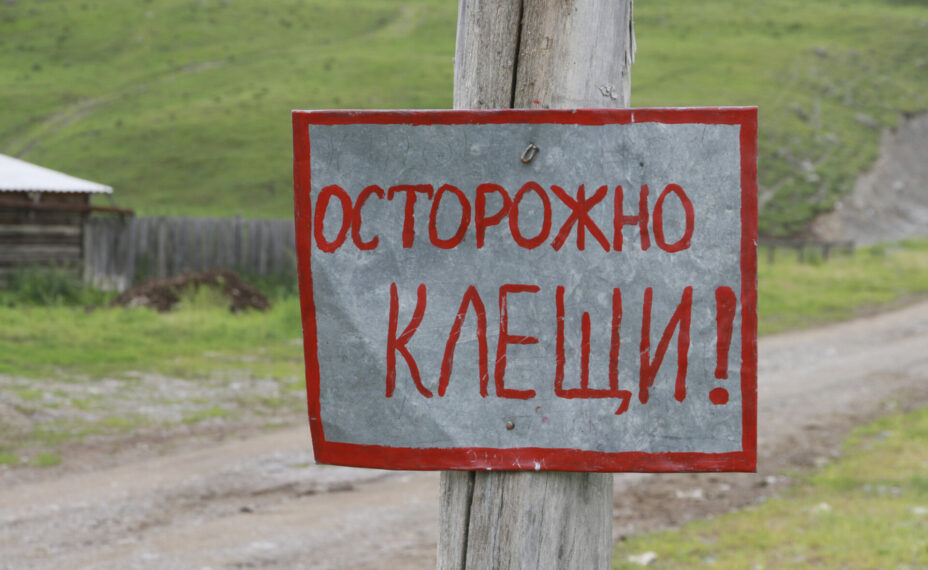 Во время отдыха или работы на природе, а также при контакте с животными, нужно быть осторожными. Фото: Олег УКЛАДОВ