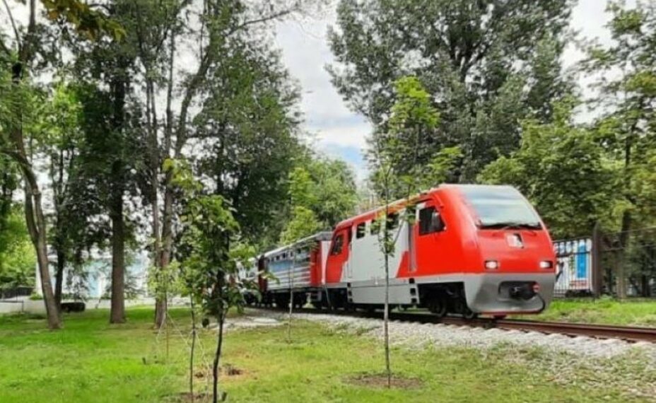 Длина основной дистанции составила 4 км. Фото: Пресс-служба администрации Ростова