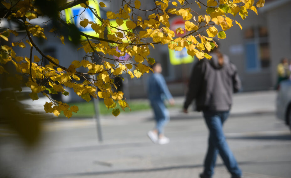 В Ростовской области синоптики обещают похолодание до +11 днем и заморозки ночью. Фото: Алексей БУЛАТОВ