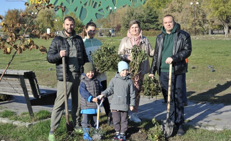 За день в Ростове высадили три тысячи деревьев и шесть тысяч кустарников. Фото: Дмитрий КУТЕПОВ