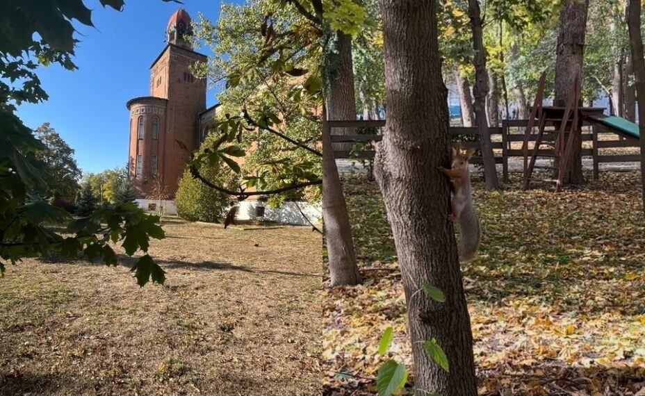 Мы прогулялись по городу, чтобы найти для вас те самые атмосферные осенние локации. Фото: Екатерина ПОПОВА