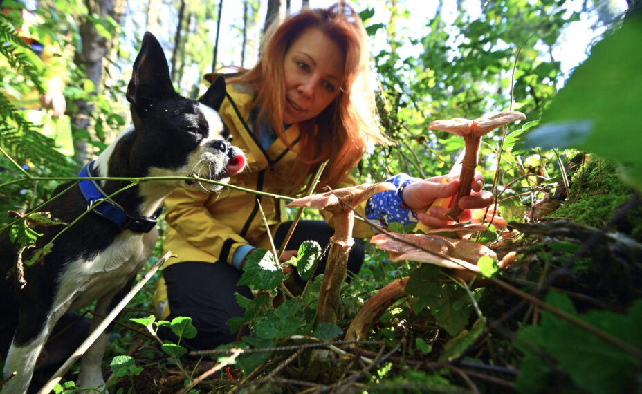 Золотое правило любого грибника, подчеркивают бывалые, - «Не знаешь гриб - не бери». Фото: Евгения ГУСЕВА